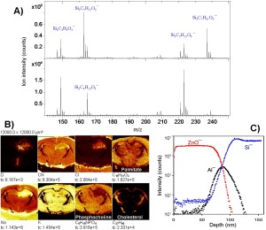 A) Negative ion spectra showing that different silicones have different fingerprints, B) ion images of a sectioned rat brain and C) depth profiles of a multilayer specimen.