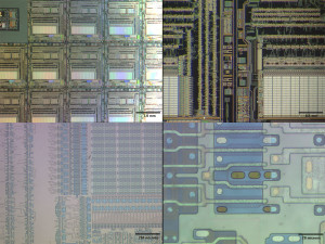 Optical microscope images