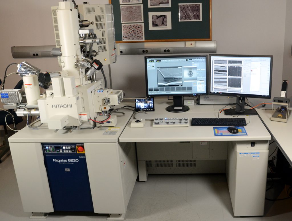 SEM/EDX Analysis, SEM/EDS Analysis Services at Surface Science Western